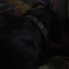 txwvgirl828